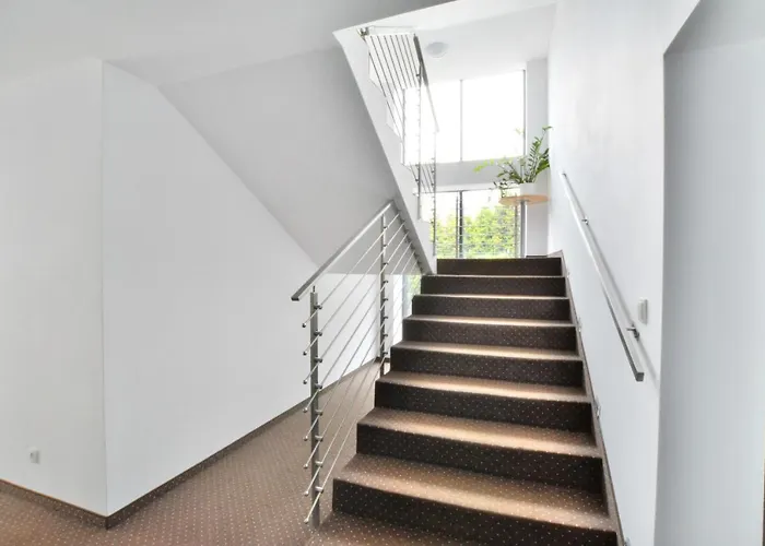 4you Проживание в семье *